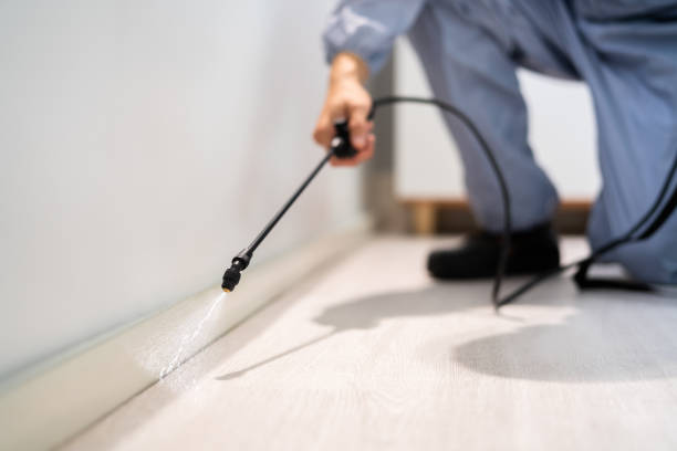 Licensed Cockroach Control service in Hemby Bridge, NC - Nex Pest Control