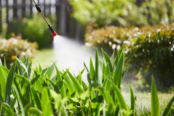 24/7 Emergency Cockroach Control experts in Hemby Bridge, NC