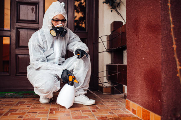 Reliable Cockroach Control contractor in Hemby Bridge, NC by Nex Pest Control